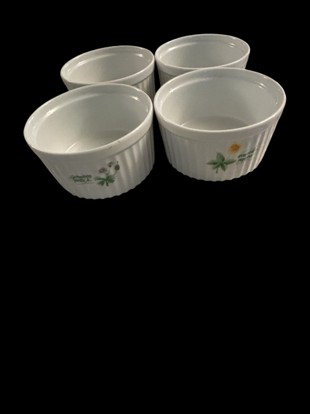 White Botanical Porcelain Ramekins by Anchor Hocking VTG Made in Hapan